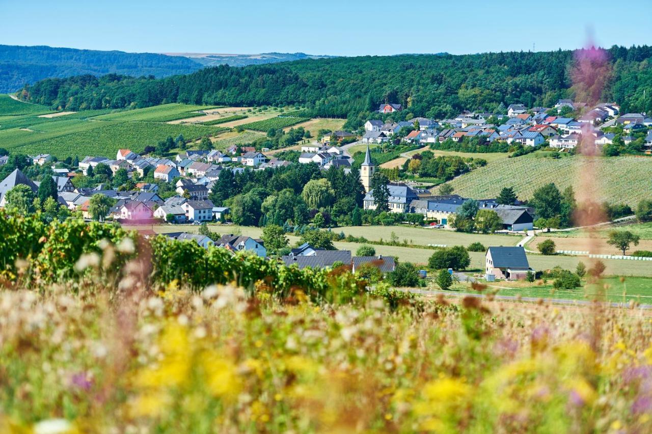 Ferienweingut Willems Oberemmel Buitenkant foto
