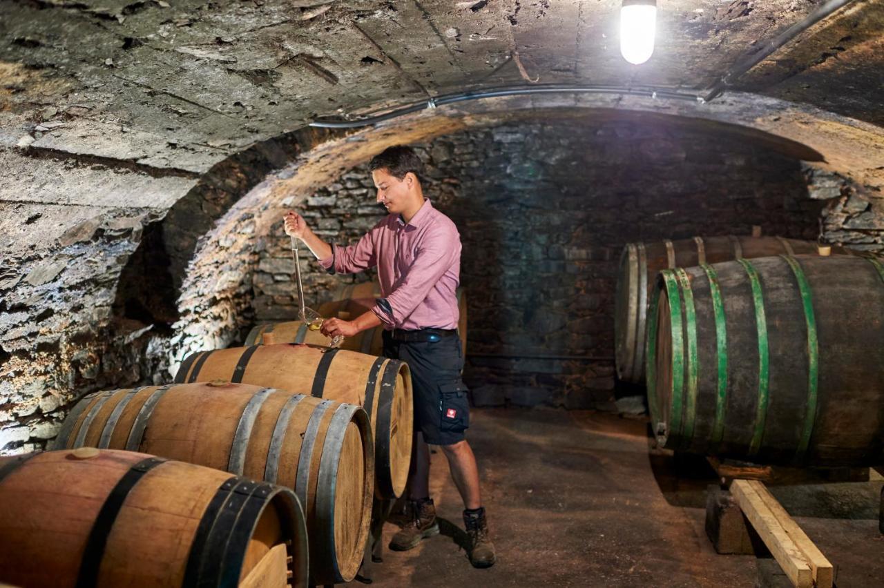 Ferienweingut Willems Oberemmel Buitenkant foto